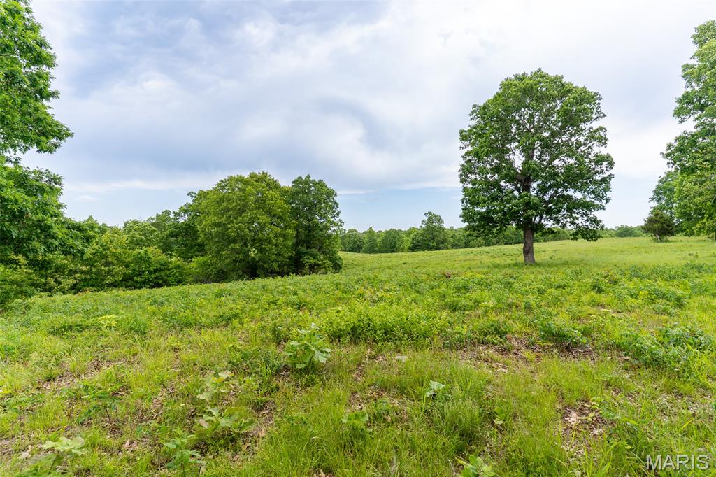 0 Top Ozark Road Property Photo 33