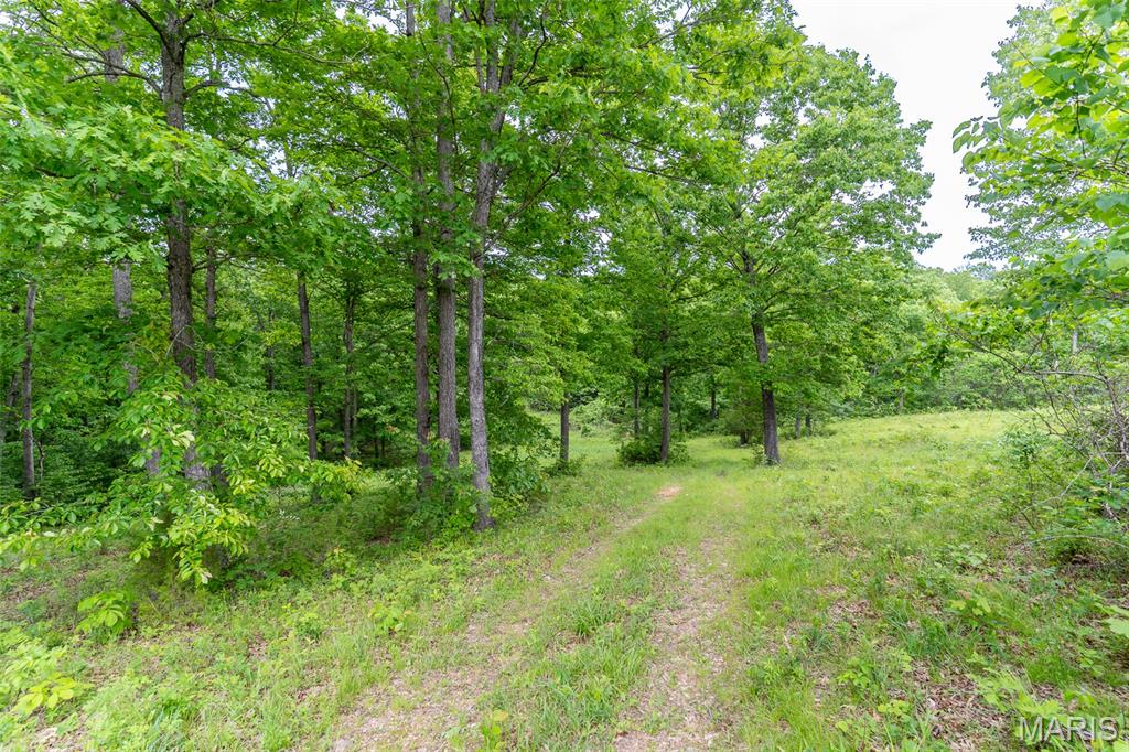 0 Top Ozark Road Property Photo 34