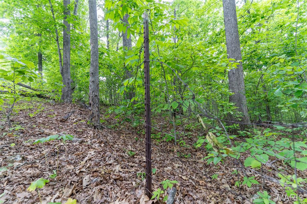0 Top Ozark Road Property Photo 35