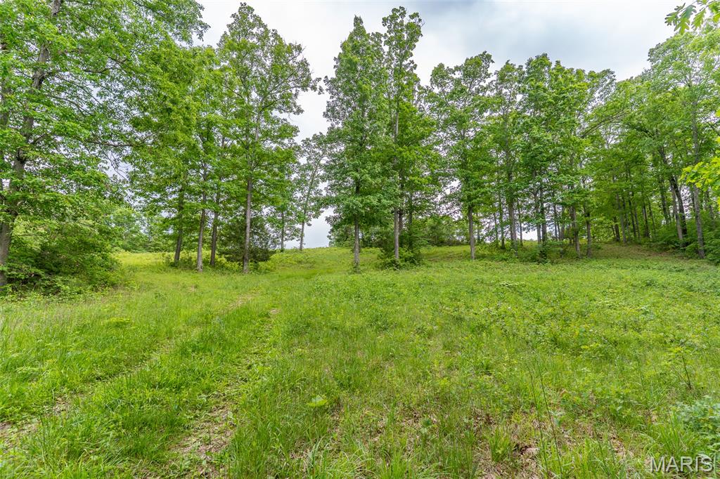 0 Top Ozark Road Property Photo 37