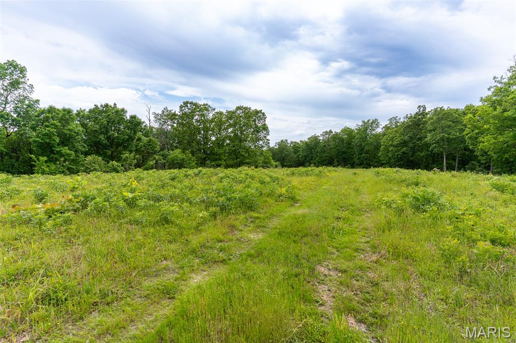 0 Top Ozark Road Property Photo 38