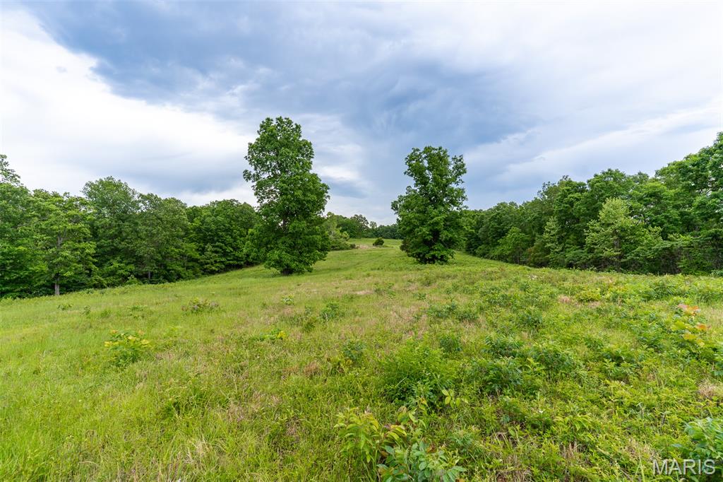 0 Top Ozark Road Property Photo 39