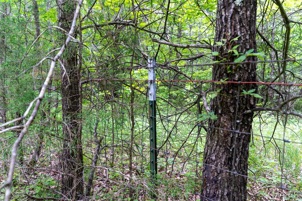 0 Top Ozark Road Property Photo 42