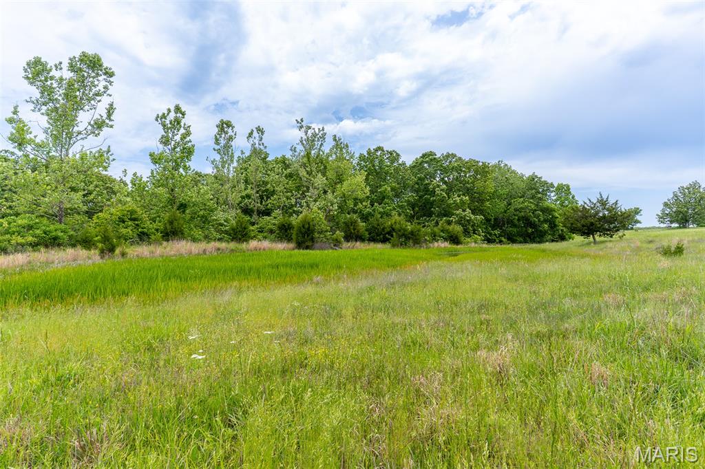 0 Top Ozark Road Property Photo 43