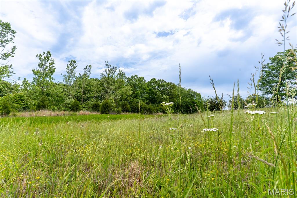 0 Top Ozark Road Property Photo 44
