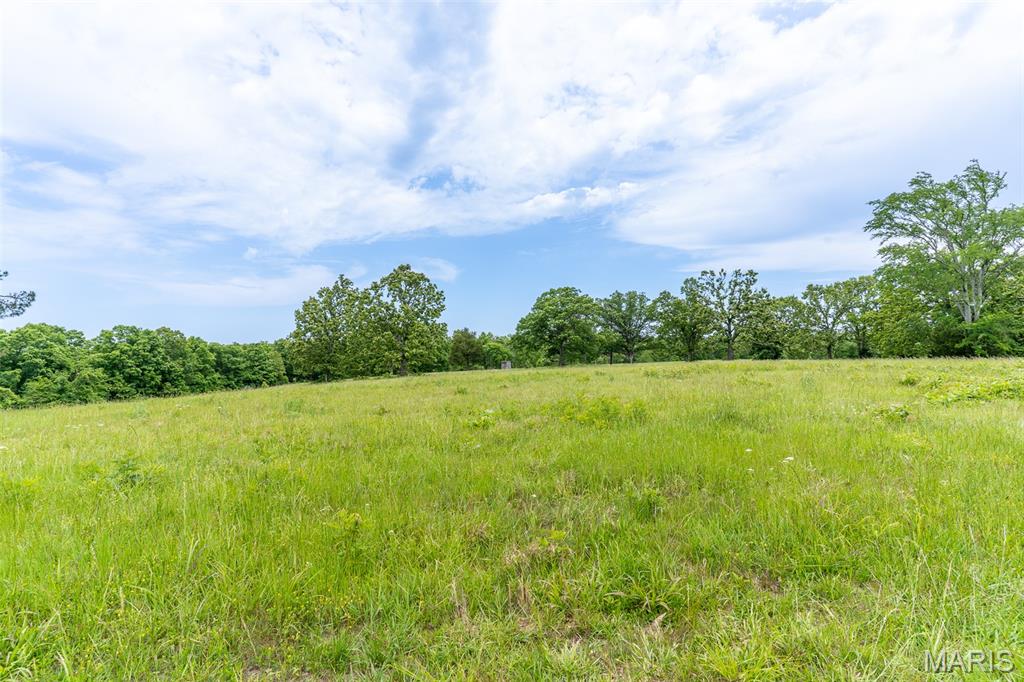 0 Top Ozark Road Property Photo 45