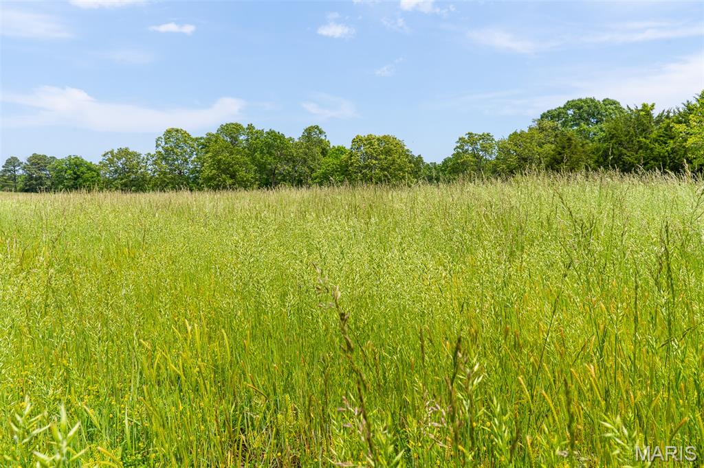 0 Top Ozark Road Property Photo 46