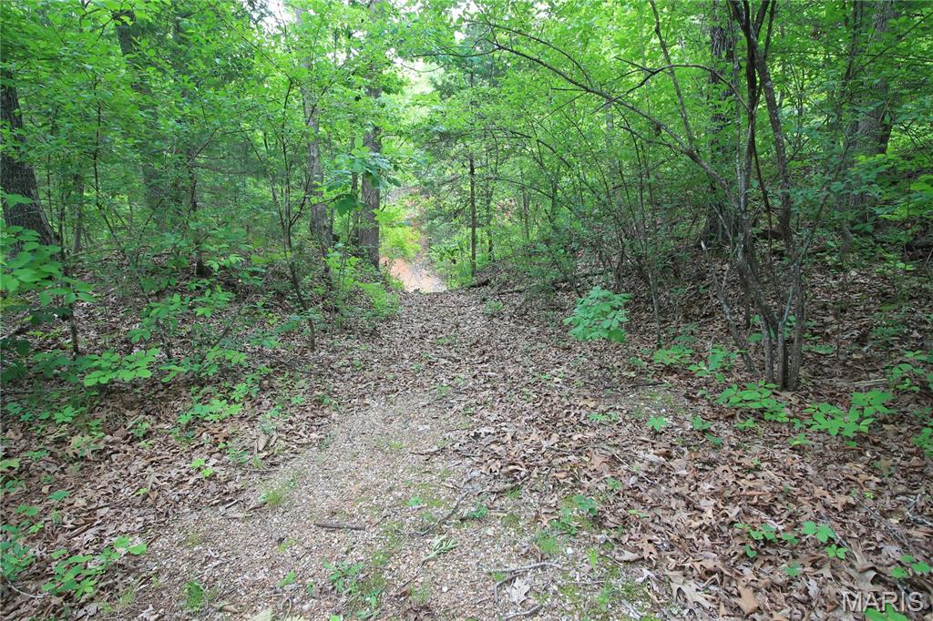000 Warden Lake Drive Property Photo 25