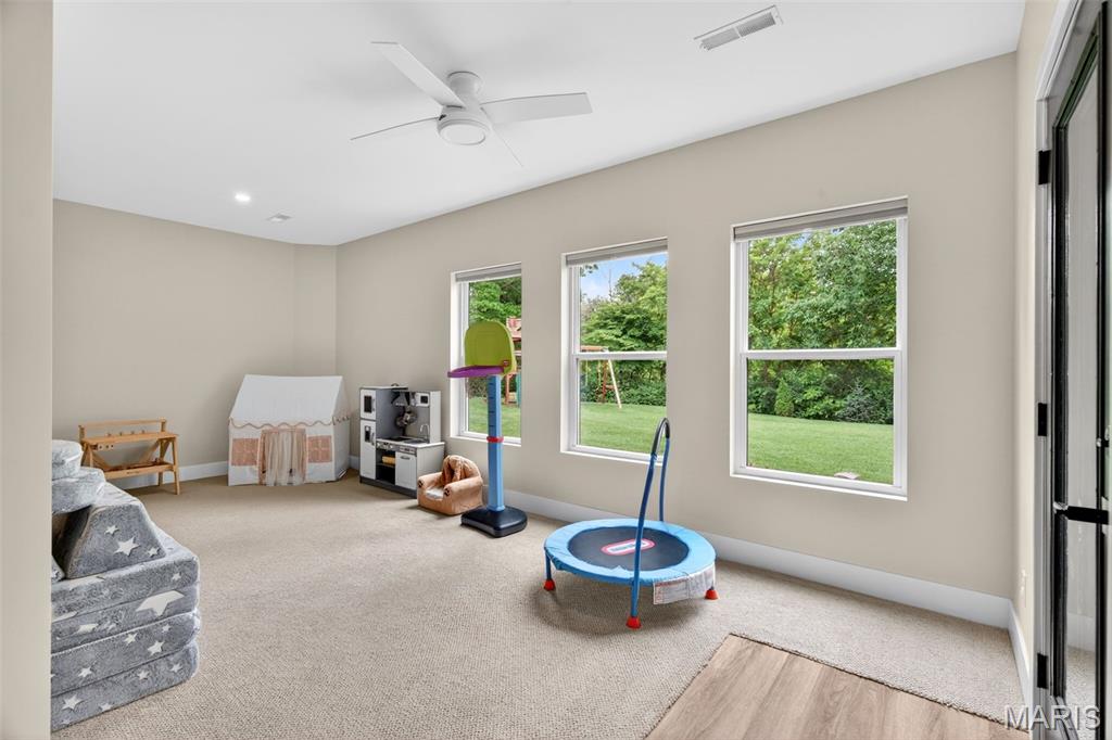 1114 Elbow Hill Court Property Photo 56
