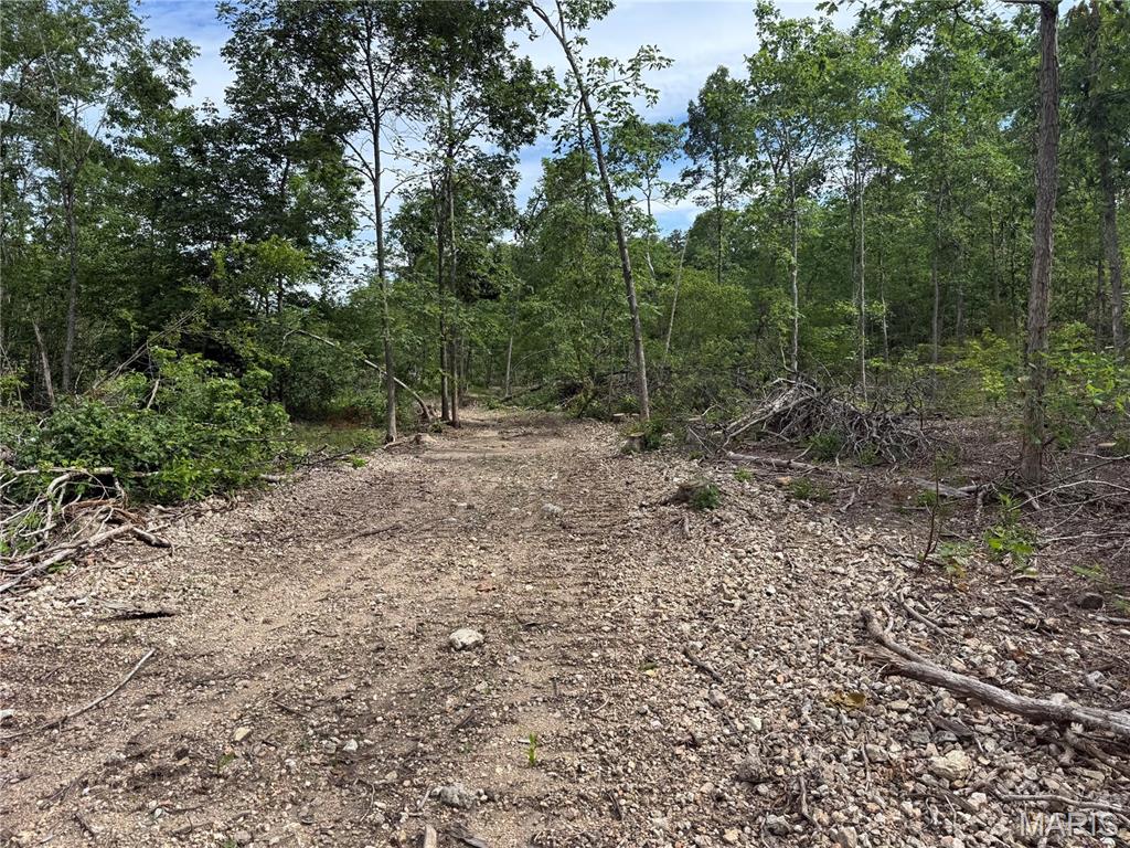 Tract 2 Hidden Valley Property Photo 2