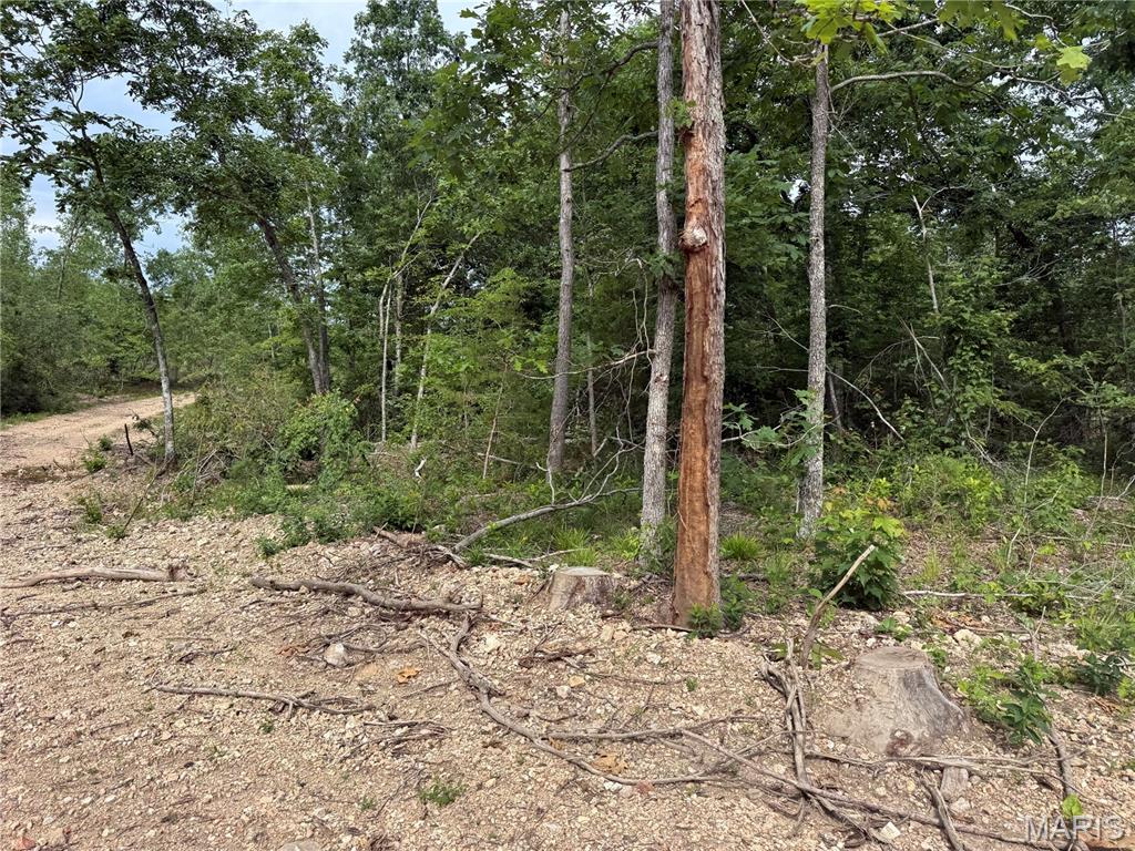 Tract 2 Hidden Valley Property Photo 13