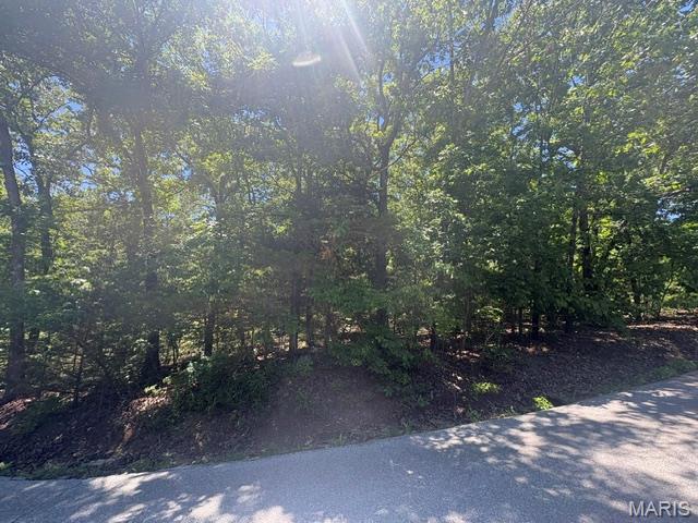 108 Confederate Drive Property Photo 5