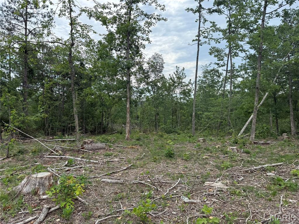 Tract 4 Hidden Valley Property Photo 8