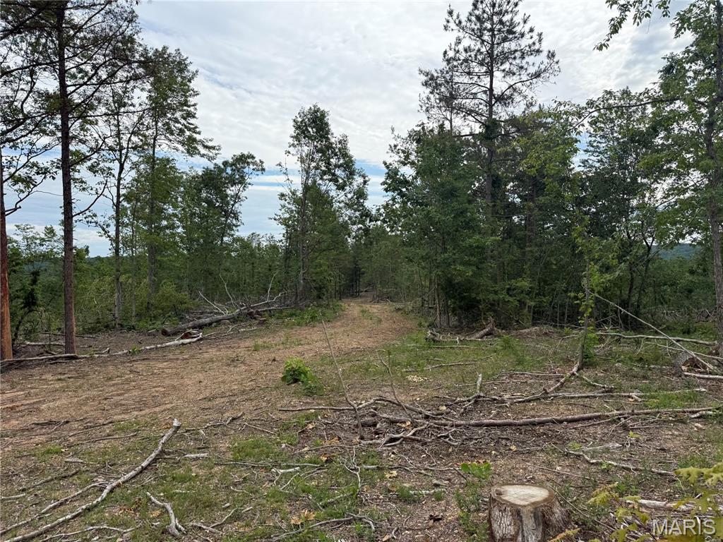 Tract 4 Hidden Valley Property Photo 9