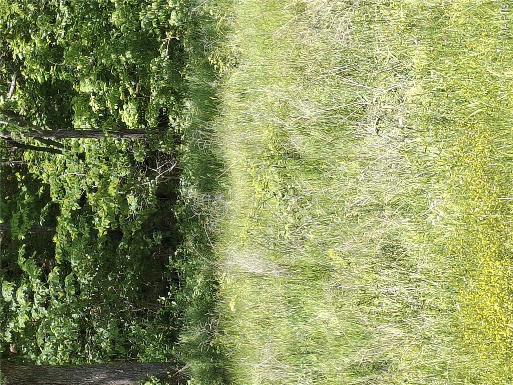 26031077 Property Photo 6