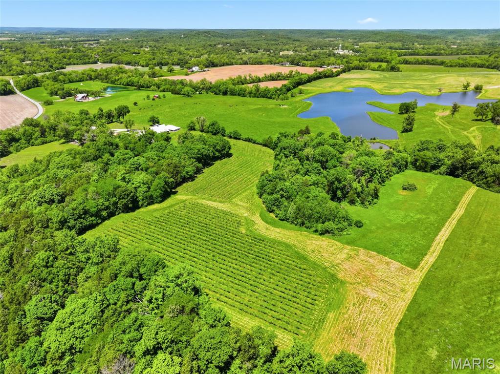 15088 Boone Monument Road Property Photo 41