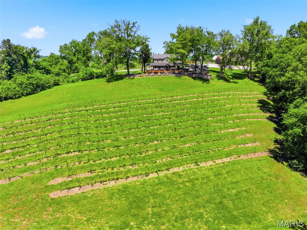 15088 Boone Monument Road Property Photo 52