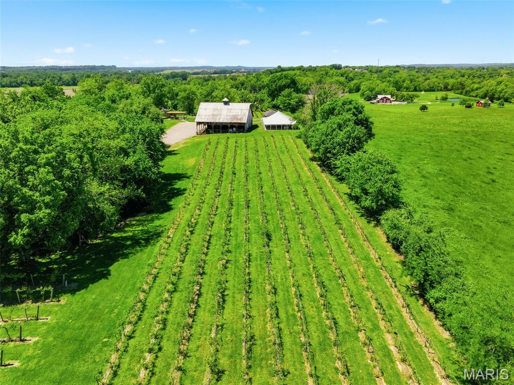 15088 Boone Monument Road Property Photo 56
