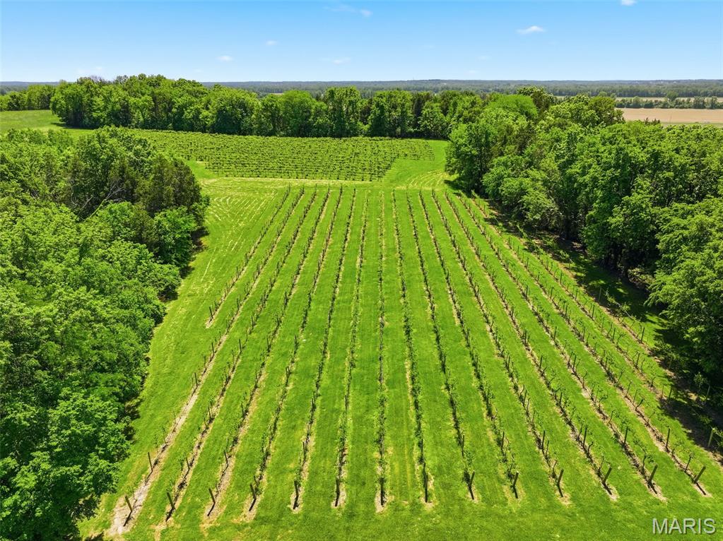 15088 Boone Monument Road Property Photo 57