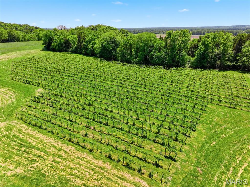 15088 Boone Monument Road Property Photo 58