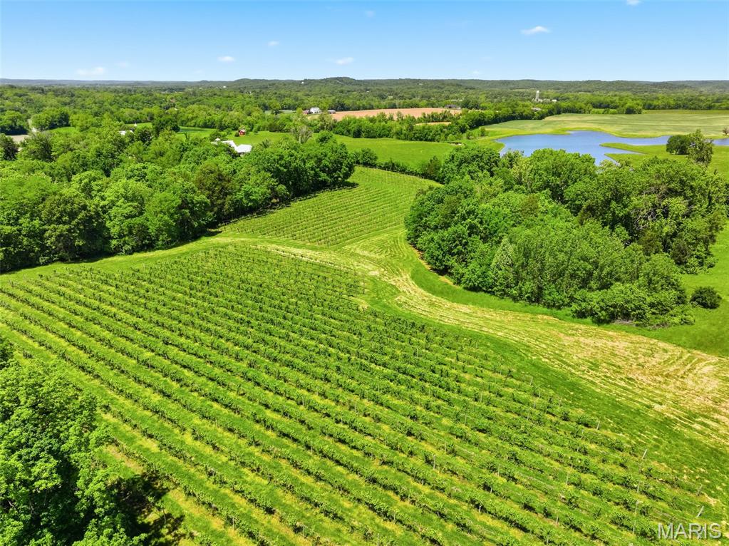 15088 Boone Monument Road Property Photo 59