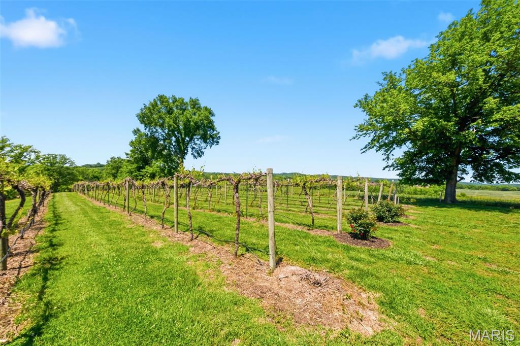 15088 Boone Monument Road Property Photo 61