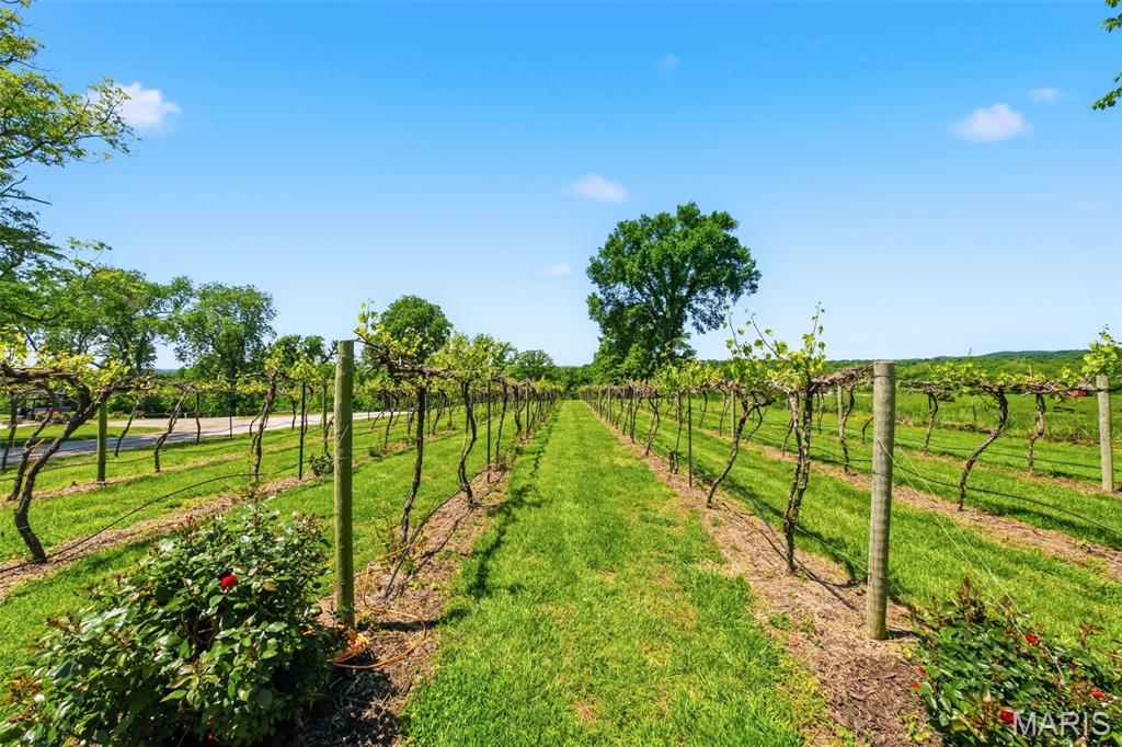 15088 Boone Monument Road Property Photo 62