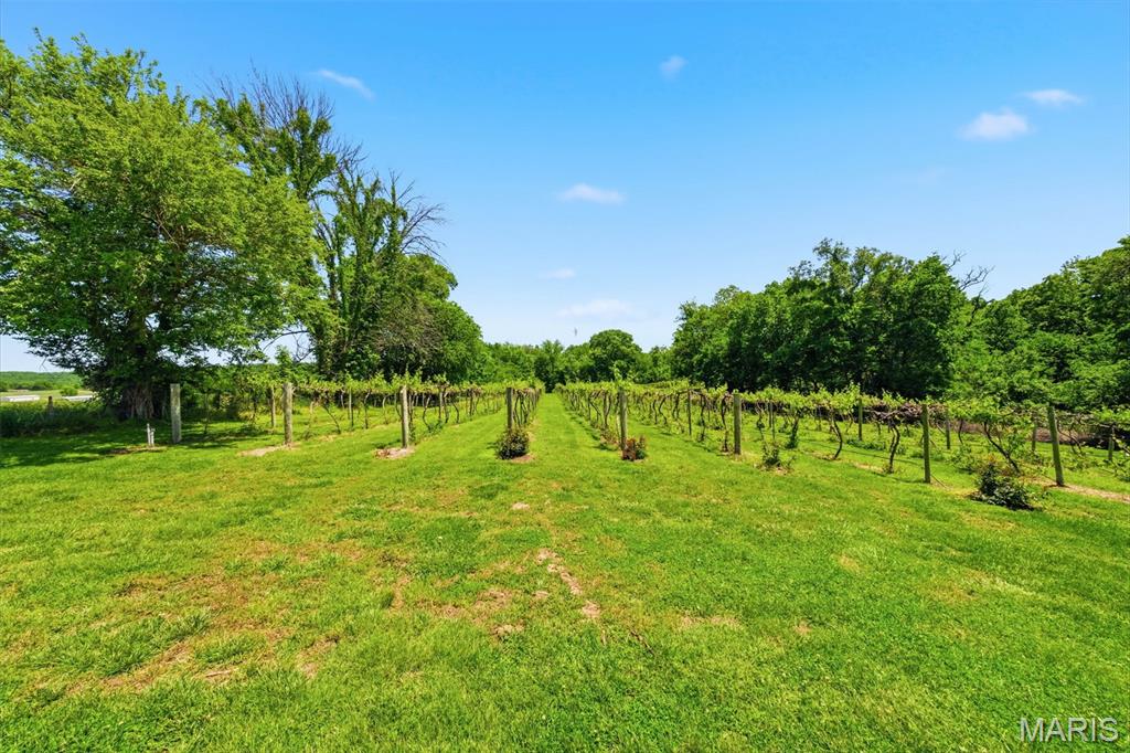 15088 Boone Monument Road Property Photo 66