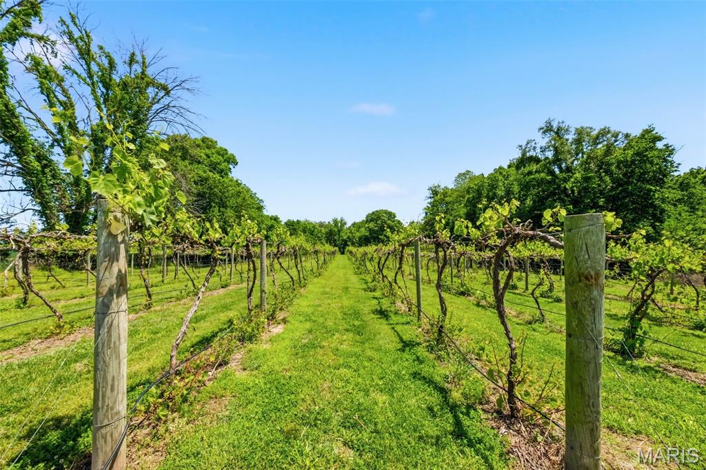 15088 Boone Monument Road Property Photo 67