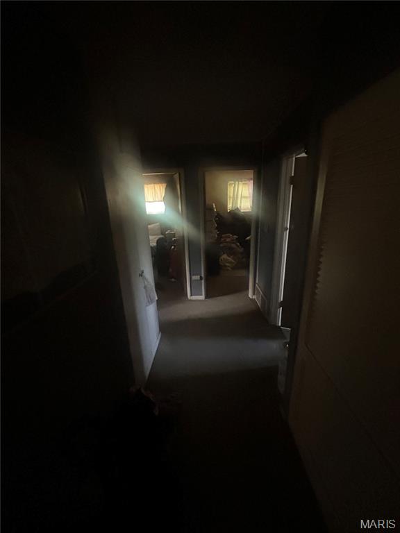 9919 Lanier Drive Property Photo 6