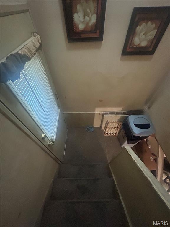 9919 Lanier Drive Property Photo 10