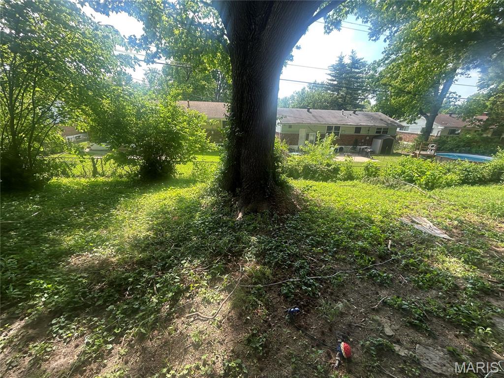 9919 Lanier Drive Property Photo 16