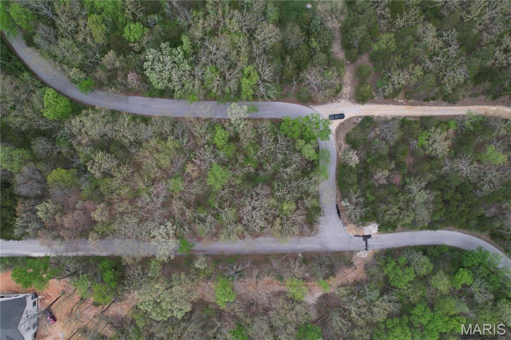 Lot 160 Sassafras Property Photo 3