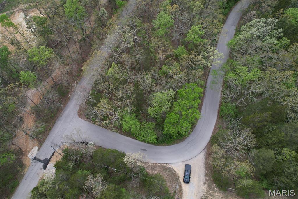 Lot 160 Sassafras Property Photo 4