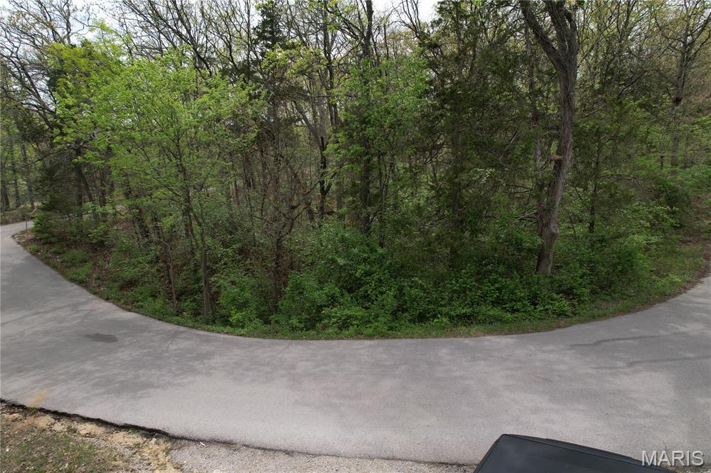 Lot 160 Sassafras Property Photo 5