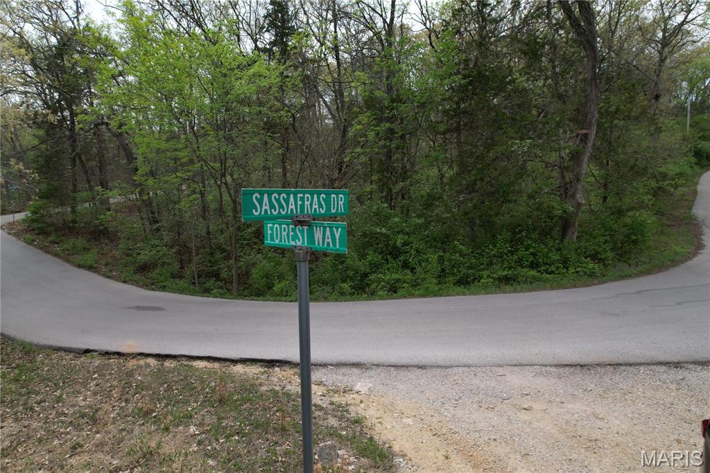 Lot 160 Sassafras Property Photo 6
