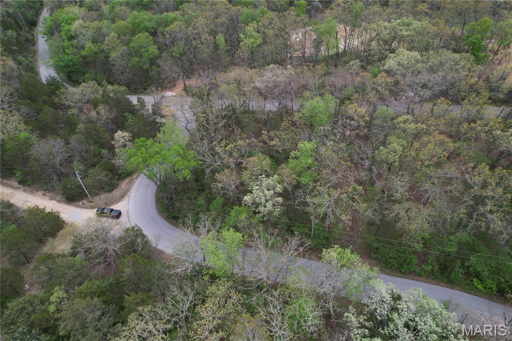 Lot 160 Sassafras Property Photo 8