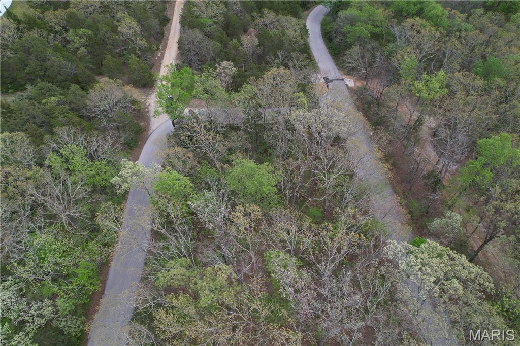 Lot 160 Sassafras Property Photo 9