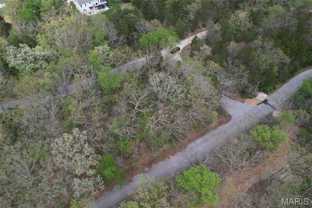 Lot 160 Sassafras Property Photo 10