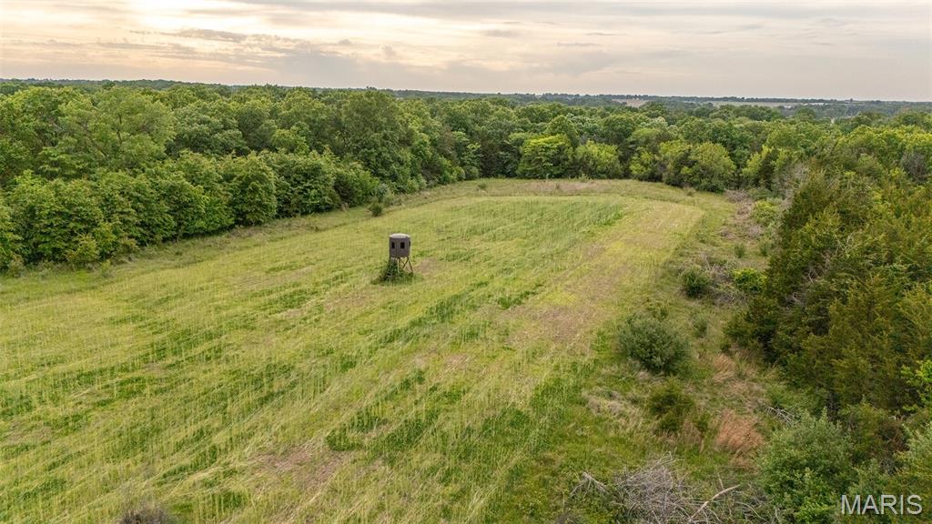 24435 Audrain Road 350 Road Property Photo 1