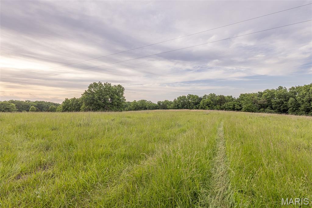 24435 Audrain Road 350 Road Property Photo 4