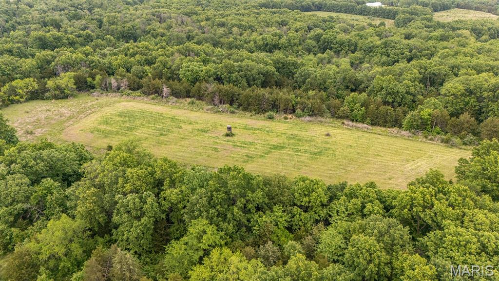24435 Audrain Road 350 Road Property Photo 5