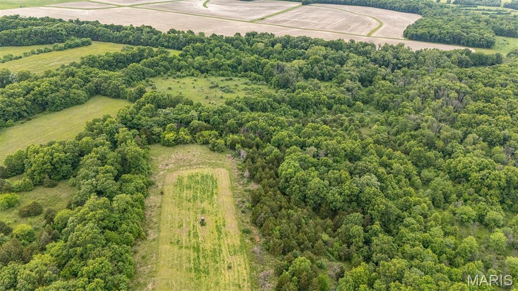 24435 Audrain Road 350 Road Property Photo 7
