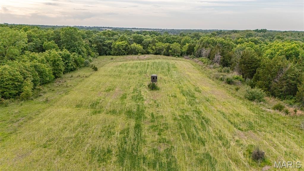 24435 Audrain Road 350 Road Property Photo 23