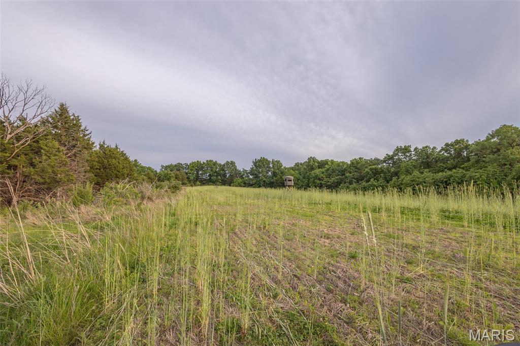 24435 Audrain Road 350 Road Property Photo 31