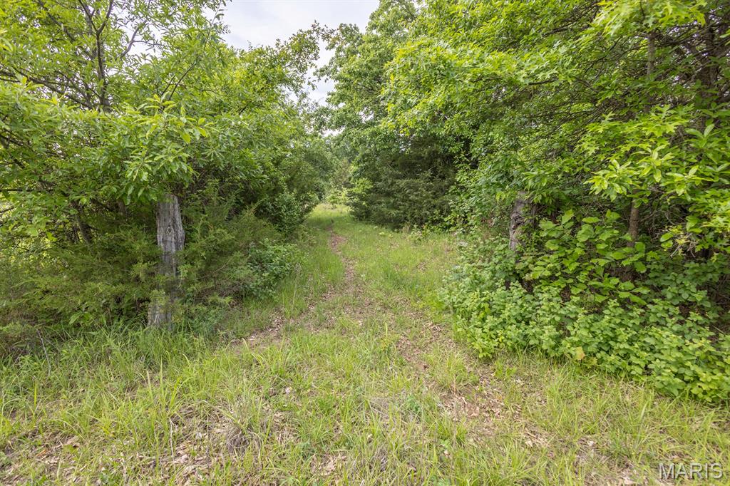 24435 Audrain Road 350 Road Property Photo 34