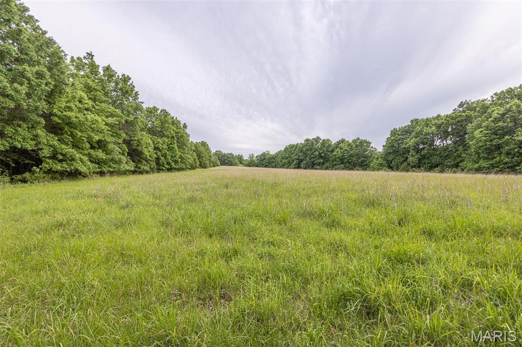 24435 Audrain Road 350 Road Property Photo 35