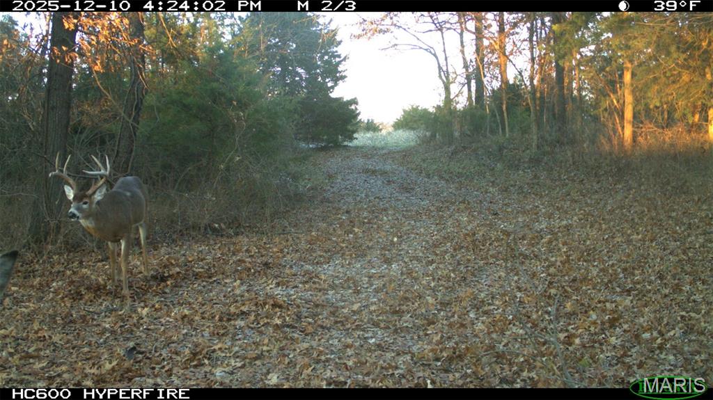 24435 Audrain Road 350 Road Property Photo 87