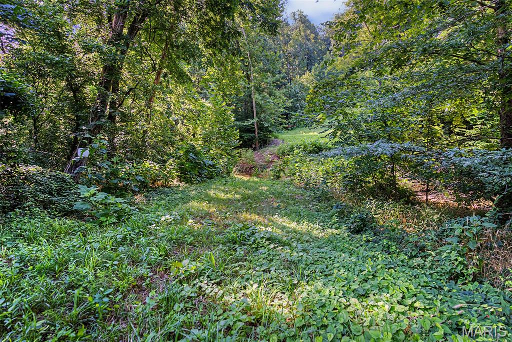 0 Antler Ridge Property Photo 74