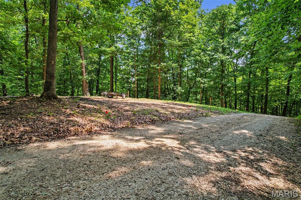 0 Antler Ridge Property Photo 88